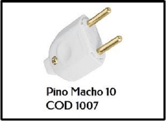 PINO MACHO 10A ,